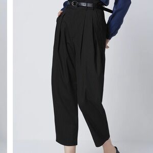 S.Deer tapered pleated pinstripe pants